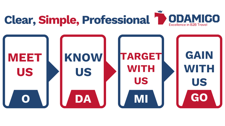 Odamigo Partnership Steps